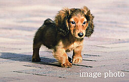 ローレルコート赤池 設備