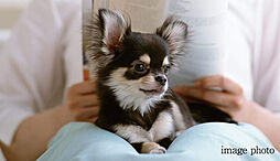 ローレルコート泉ザ・ハウス 設備