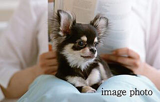 ローレルコート上前津 ペット足洗い場