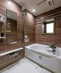 サンメゾン新田辺駅前 専有部