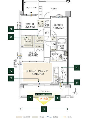 クレヴィア西国分寺 間取り Q