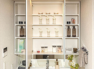 ルナコート三田ウッディタウン中央 三面鏡裏収納