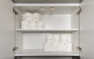 プレサンス グラン 大垣 トイレ吊戸棚