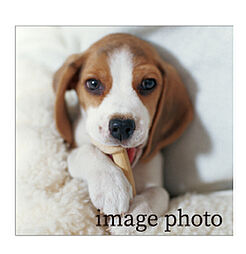 プレサンス ロジェ 博多STATION NORTH 設備