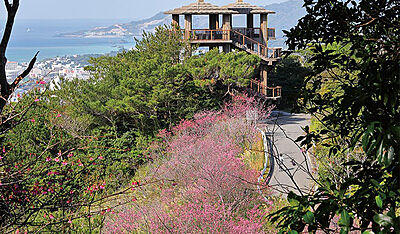 名護城(なごぐすく)公園 約3,900m(車6分)