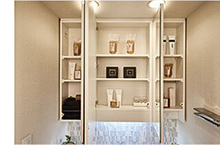 プレサンス ロジェ 宮前平ルミエル 三面鏡裏収納