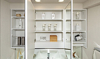 プレサンス レイズ 四天王寺 ターミナルリンク 三面鏡裏収納