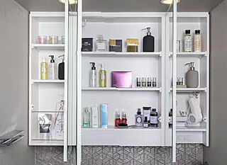 プレサンス ジェネ 四日市諏訪新道 三面鏡裏収納