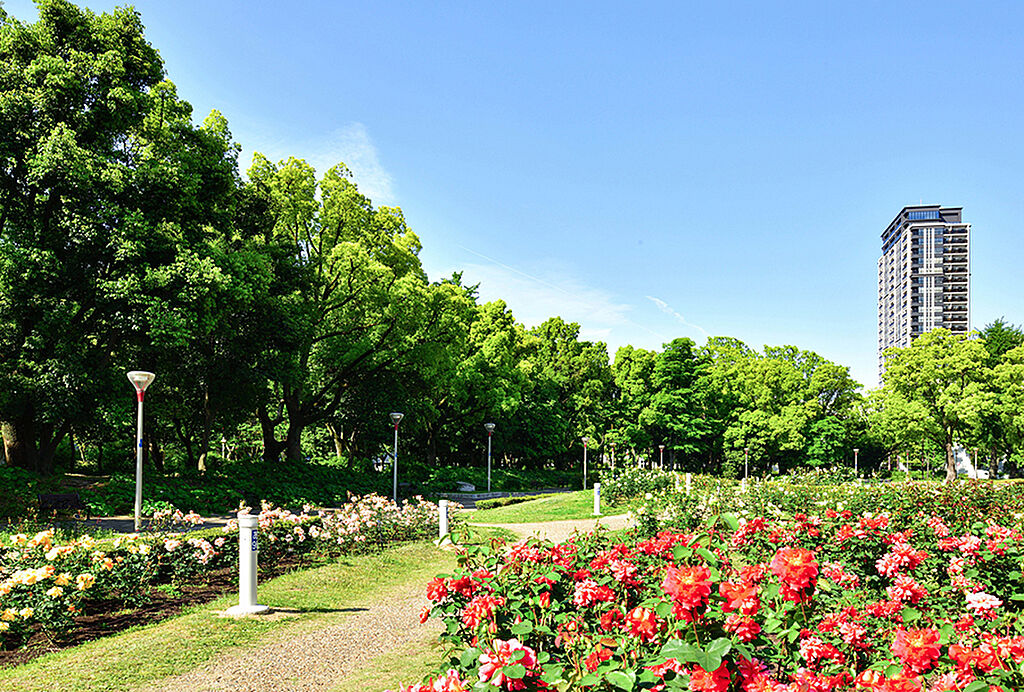 クラッシィタワー靱公園 大阪府大阪市西区京町堀2丁目67番 地番 本町駅の新築マンション 物件番号 の物件詳細 ニフティ不動産