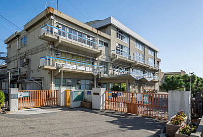神戸市立東舞子小学校 約530m(徒歩7分)