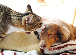 オープンレジデンシア星ヶ丘 設備