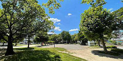 松原公園 約180m(徒歩3分)