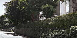 [周辺環境画像] 林芙美子記念館周辺の街並み
約710m（徒歩9分）