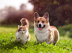 ハイムスイート新狭山 設備