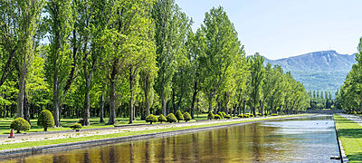 前田森林公園 約3.9km