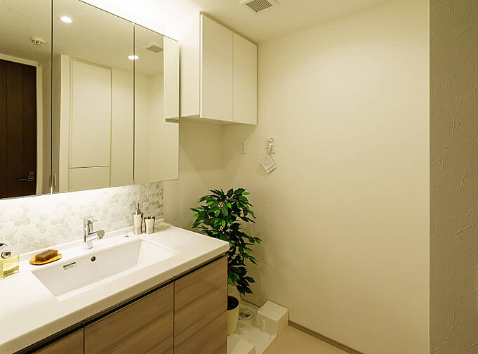 バースシティ・ザ・マーク溝の口 専有部