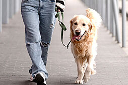 シンビエンス世田谷尾山台 設備