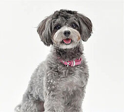 ヴィンテージ灘 設備