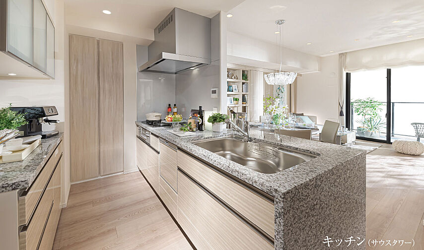 シティタワーズ板橋大山サウスタワー 専有部