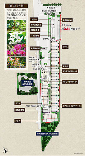 シティテラス善福寺公園 敷地概念イラスト