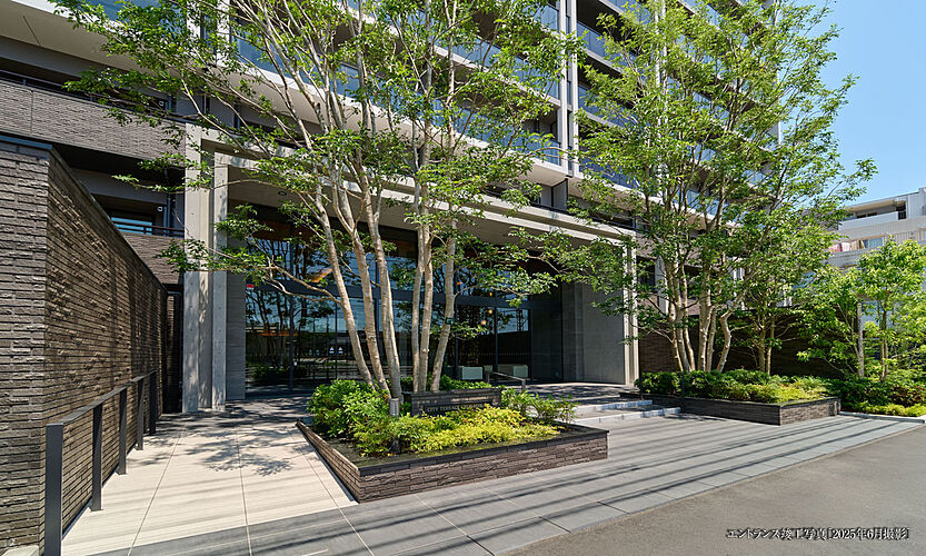 シティテラス中央林間 エントランス竣工写真