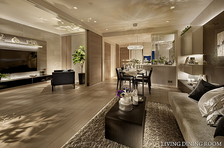 シティテラス中央林間 専有部