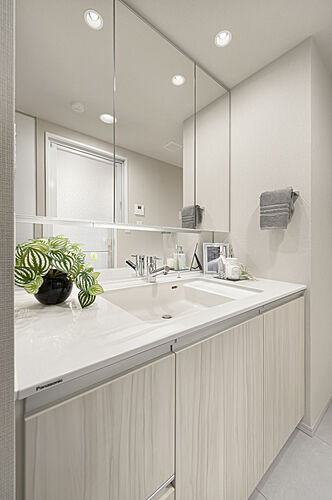 シティテラス登戸 パウダールーム