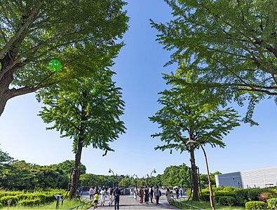 光が丘公園 約1,250m(徒歩16分)