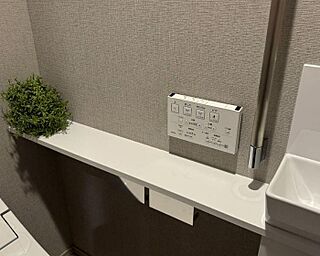 ザ・ライオンズ横川 トイレカウンター