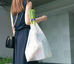 ザ・ライオンズ千林駅前 設備