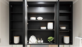 ザ・ライオンズ札幌北九条 三面鏡