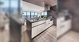 ブランズタワー橋本 専有部