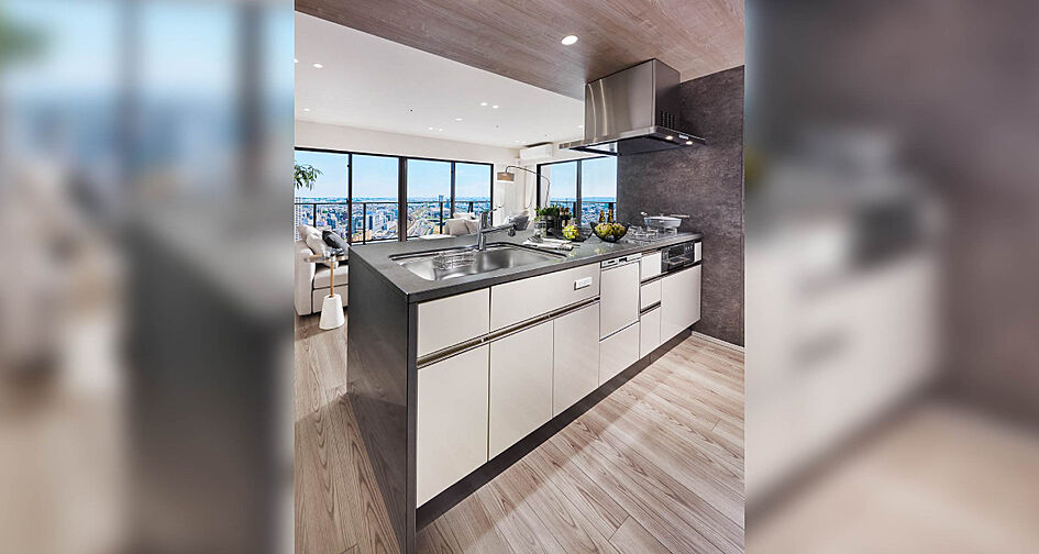 ブランズタワー橋本 専有部