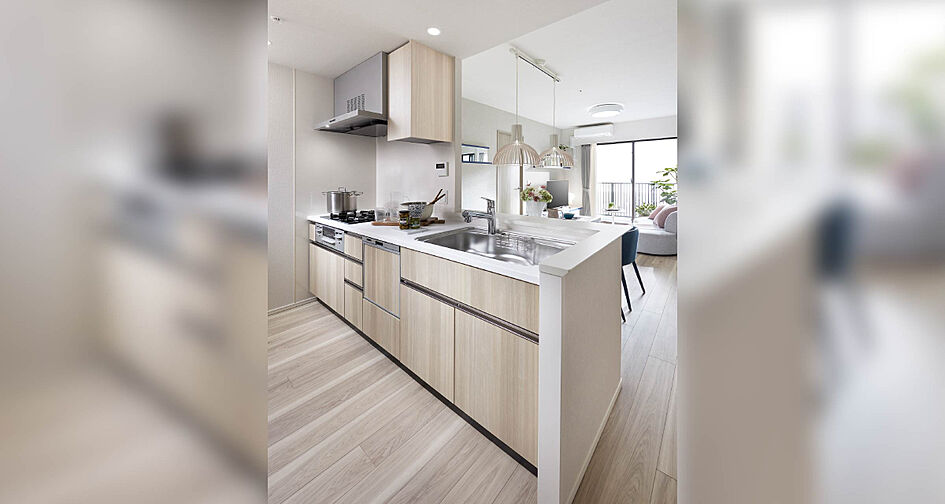 ブランズタワー橋本 専有部