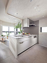 ブランズシティ品川ルネ キャナル 専有部