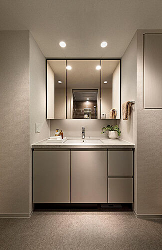 ブランズシティ品川ルネ キャナル 洗面室