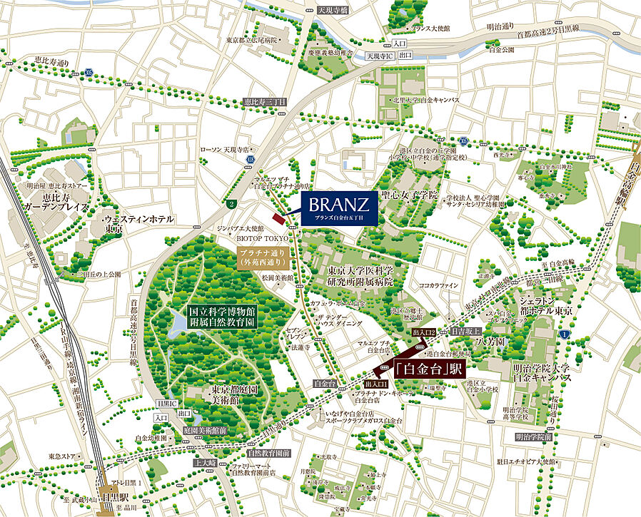 ブランズ白金台五丁目：案内図