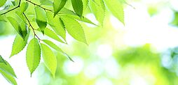 ブランズ武蔵小山 設備