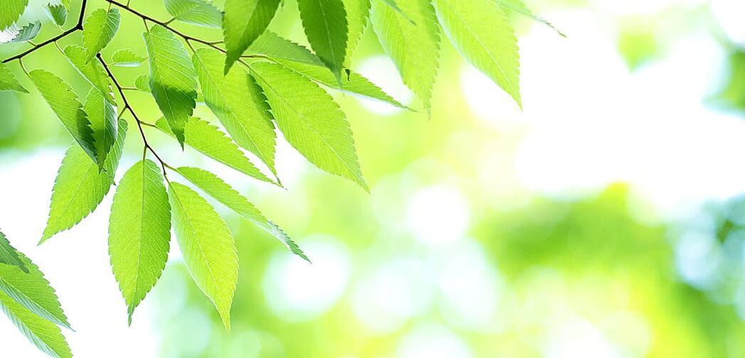 ブランズ武蔵小山 設備