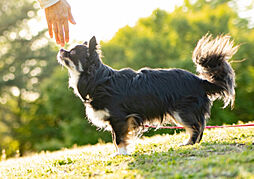プラウド勾当台公園ディアージュ ( 第4期 2次 ) 設備