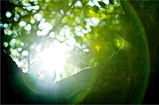 プラウド神戸トアロード ( 最終期 ) ZEH-M Oriented&認定低炭素住宅