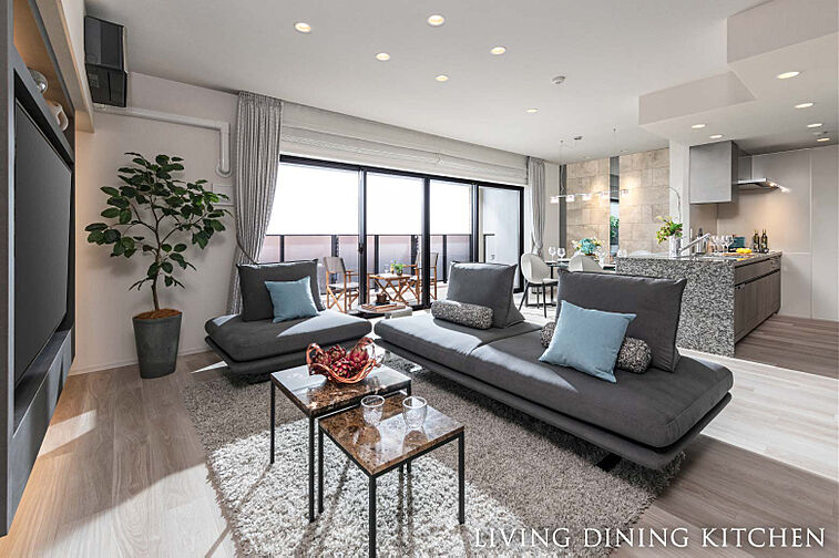 パークホームズ刈谷アネシア 専有部