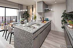 パークホームズ刈谷アネシア 専有部