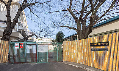 区立笹塚小学校(通学路/通学校) 約460m(徒歩6分)