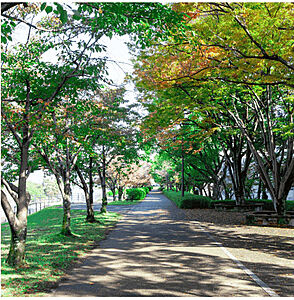 友愛の桜みち（上野学園ホールブロックの川沿い緑道） 約250m（徒歩4分）