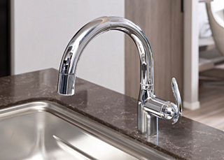 セントラルガーデン月島　ザ　タワー 浄水器一体型シャワー水栓