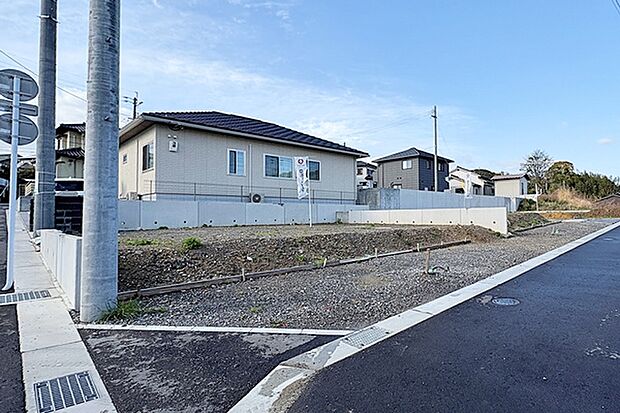 ※現地写真［5号地］