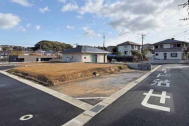 ※現地写真［12号地］