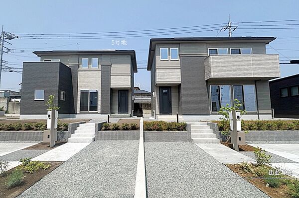 5号地