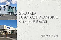 丹羽郡扶桑町大字柏森字郷前145番3、145番4